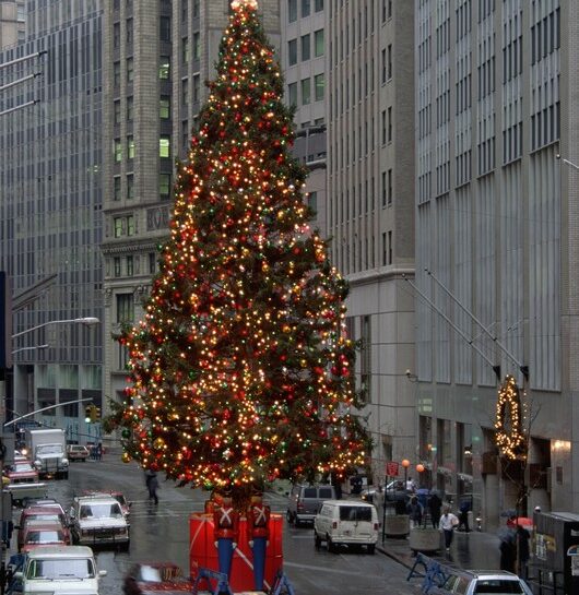 Viaggiare a Natale...