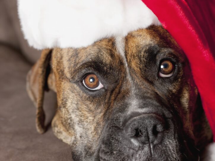 Fare del bene a Natale
