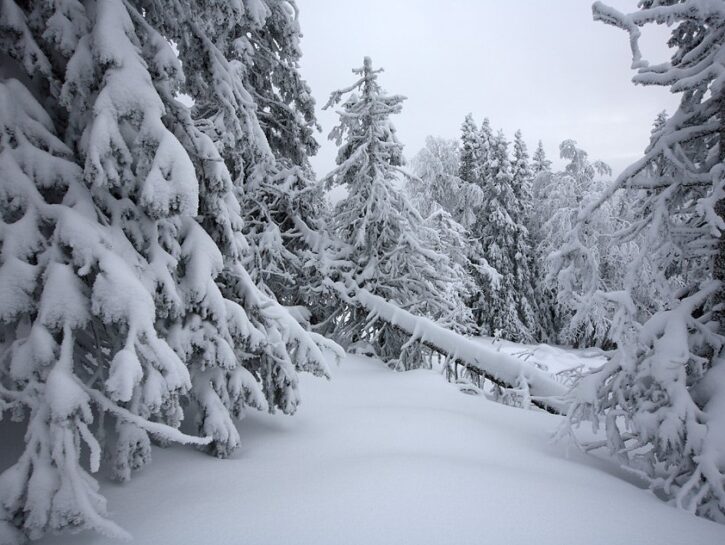 Sognare La Neve Porta Bene O Male