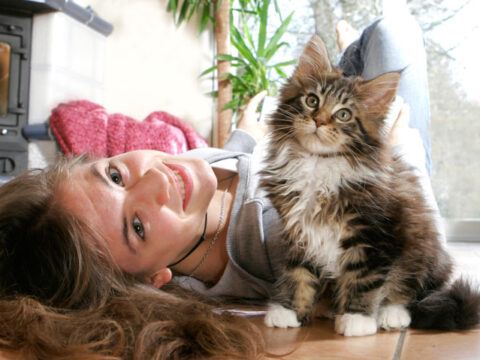 Catfulness: felice come un gatto in 7 settimane