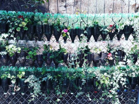 21 idee per riciclare le bottiglie di plastica