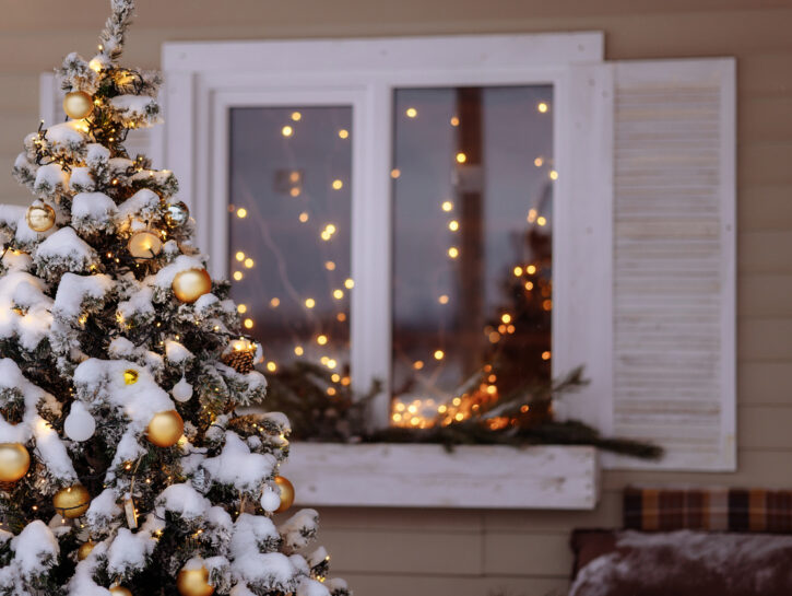 Natale all'aperto: come decorare l'albero fuori casa