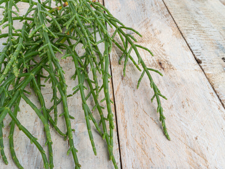 4 proprietà benefiche degli asparagi di mare