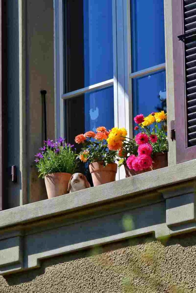 Davanzale con fiori 