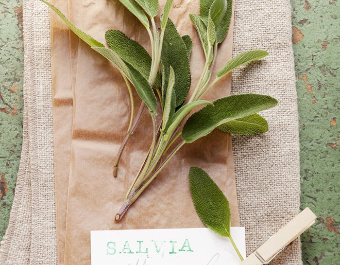 Punta sulla salvia