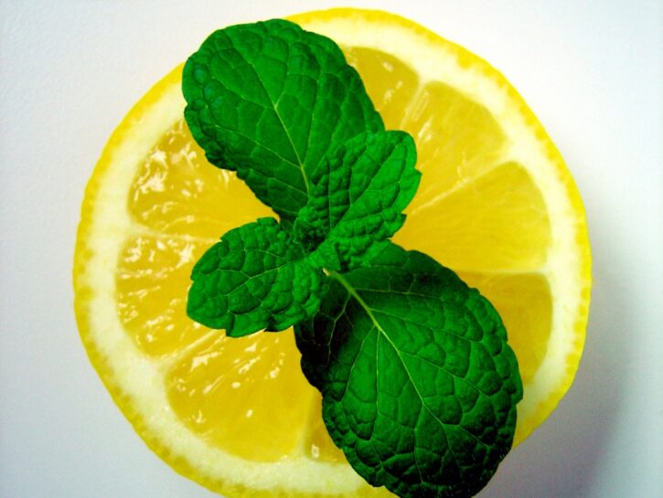 Pulizie di casa green
