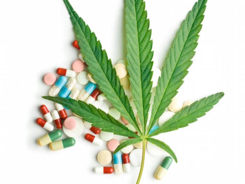 Cannabis, una pianta antica: gli effetti sulla salute