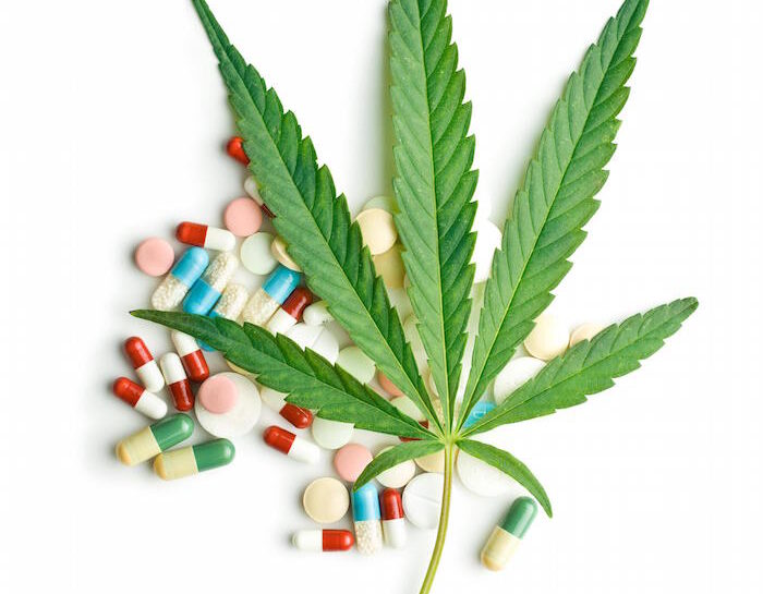 Cannabis, una pianta antica: gli effetti sulla salute