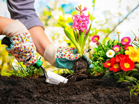 Marzo: tutti i lavori da fare in giardino e sul balcone