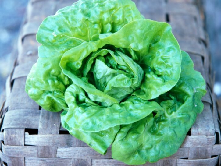 Insalata fai da te