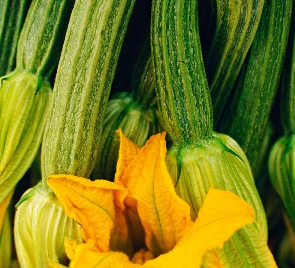 Zucchine sul terrazzo