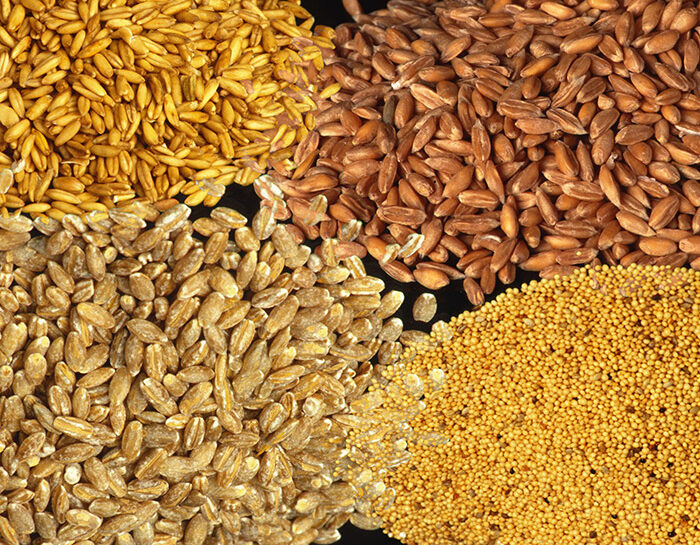 I cereali integrali per proteggere l'apparato riproduttivo