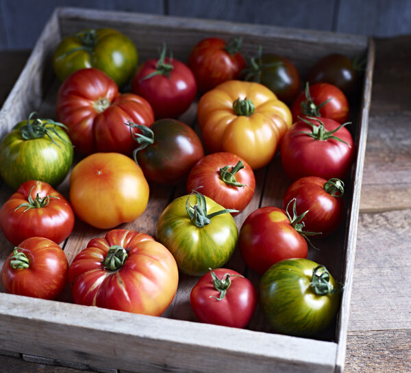 I pomodori
