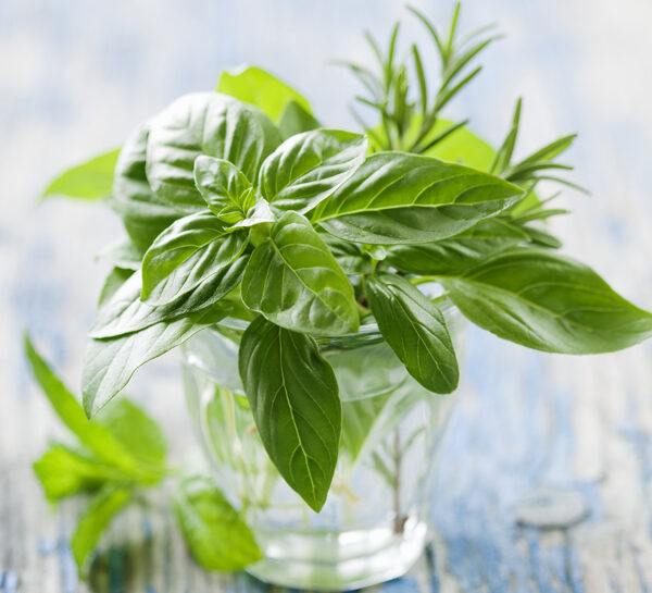 Basilico, prezzemolo e rucola