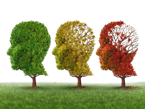 Alzheimer, ultime novitÃ  su prevenzione e cura