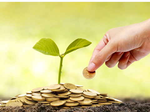 Come investire in modo etico