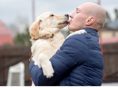 Chi si occupa del cane o del gatto se muore il padrone