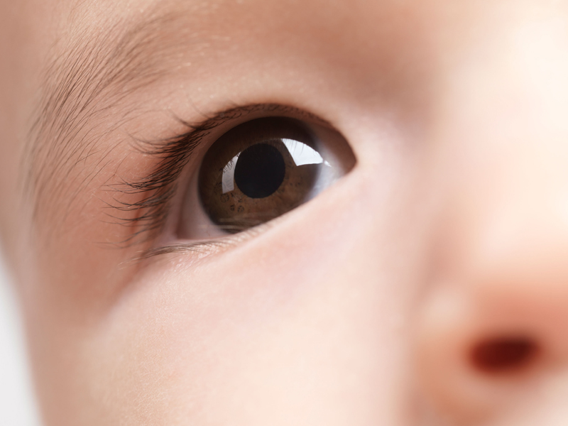 Neonato marrone ebano gli occhi umani Circolare Completo 