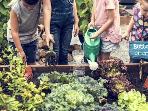 Le attività Montessori da fare in giardino