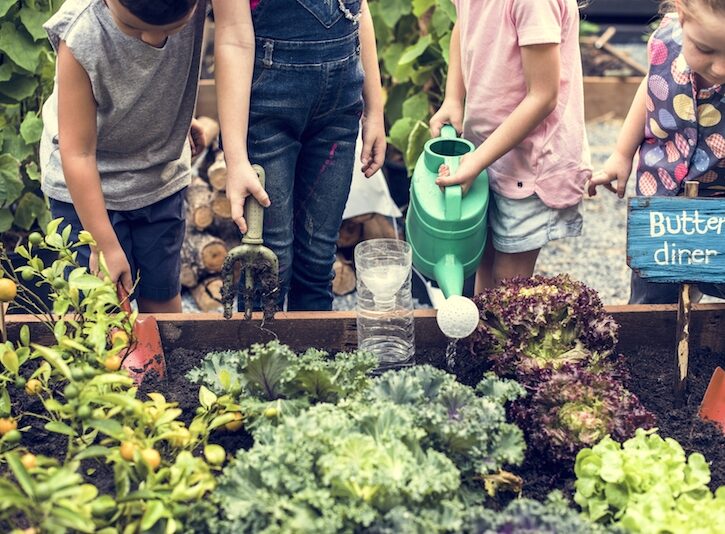 Le attività Montessori da fare in giardino