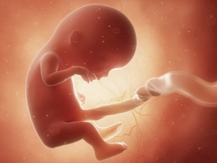 Sognare Di Abortire E Vedere Il Feto Morto Le immagini del feto. Come cresce una vita - Donna Moderna