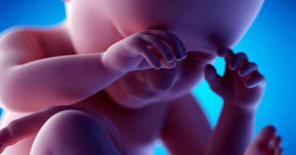 Le Immagini Del Feto Come Cresce Una Vita Donna Moderna