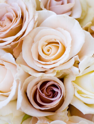 10 fiori per il matrimonio