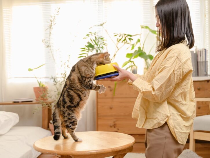 Come pulire le ciotole dei gatti