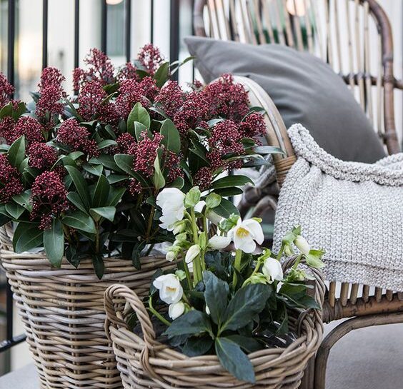 Piccolo balcone fiorito