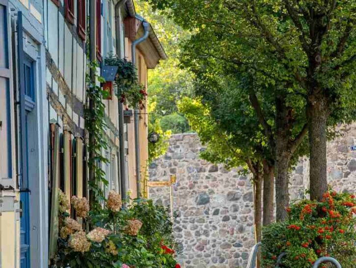 Vuoi un giardino più bello? Parti dalla disposizione delle piante
