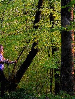 Il meraviglioso potere del camminare