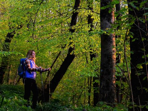 Il meraviglioso potere del camminare