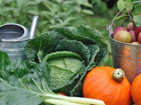 Compo Bio: la natura che aiuta la natura