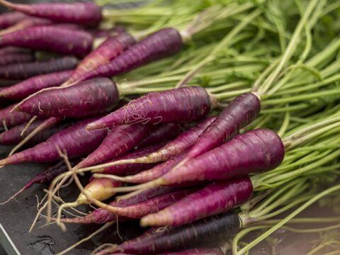 Coltivare verdure insolite o dimenticate: un toccasana per la salute
