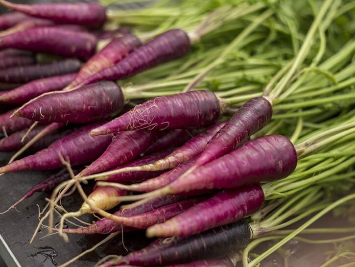 Coltivare verdure insolite o dimenticate: un toccasana per la salute