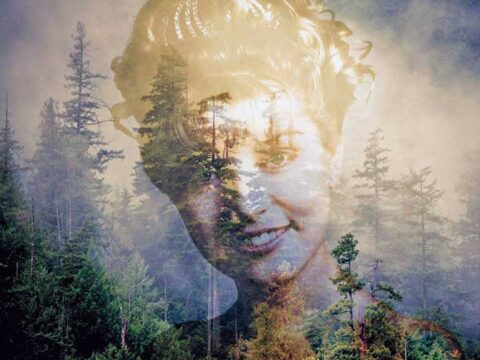Twin Peaks, il ritorno