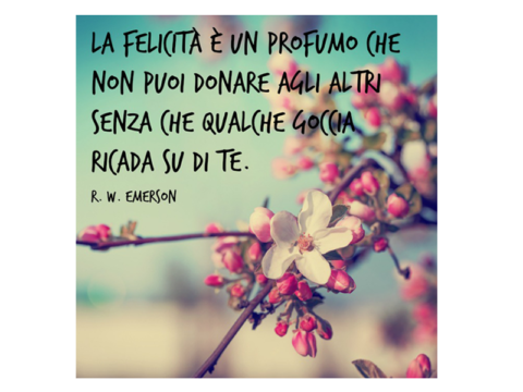 Frasi sulla felicità: pensieri, citazioni e aforismi belli - Donna Moderna