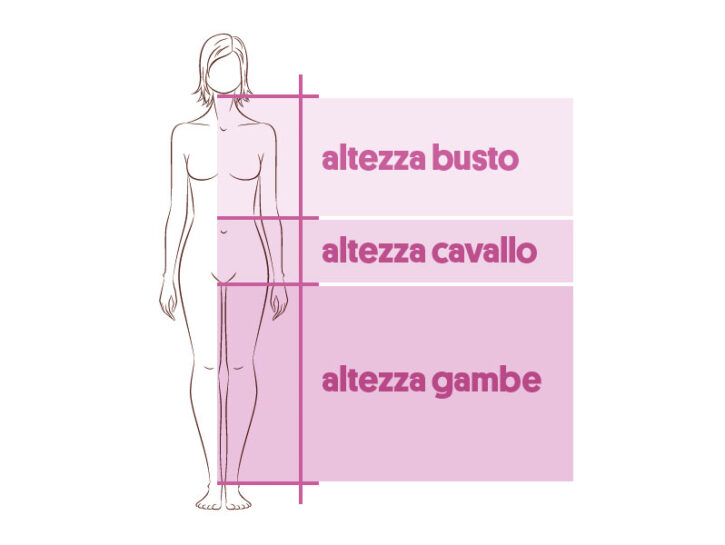 busto cavallo gambe