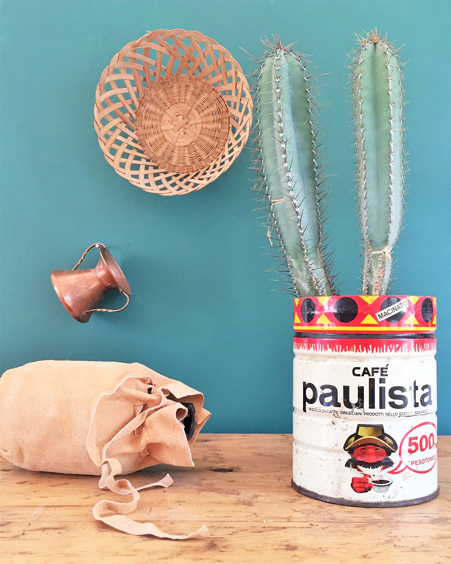 Vaso succulento, vaso per piante creative fai-da-te Mini vasi da fiori Cactus Contenitori per piante grasse per l'arredamento del giardino delle