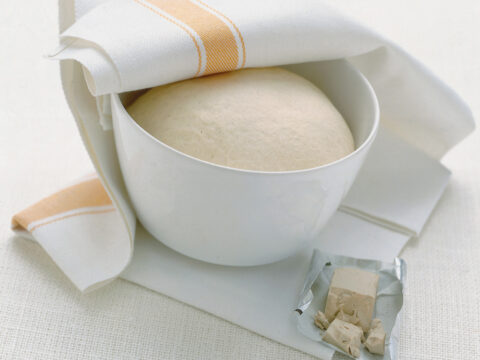 Impasto base con lievito di birra