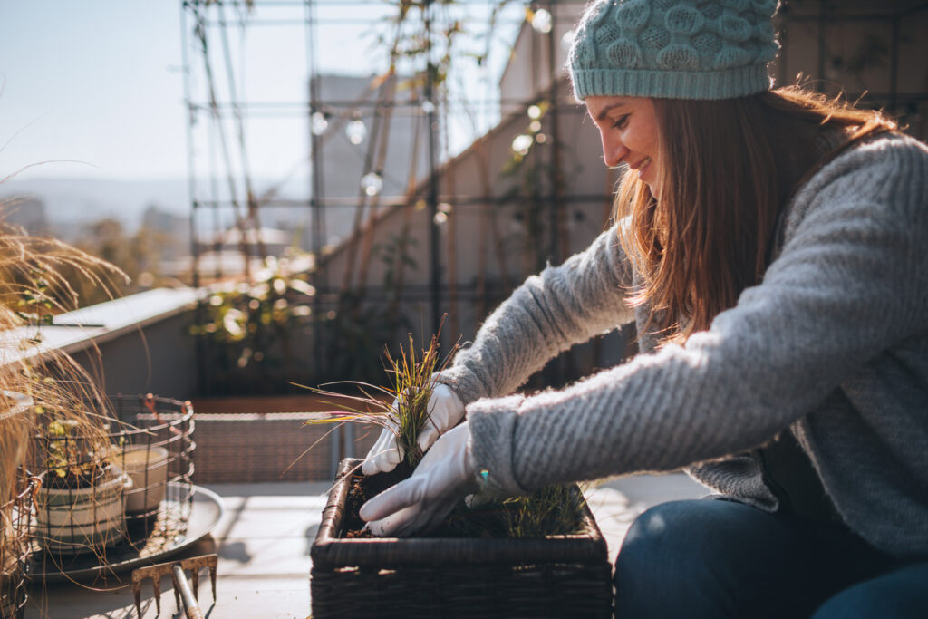 ragazza sta rinvasando le piante sul balcone in inverno