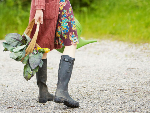 Orto autunnale: quali verdure puoi coltivare