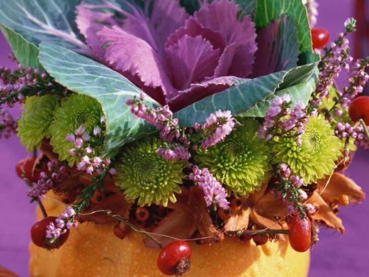 Lanterne con le zucche