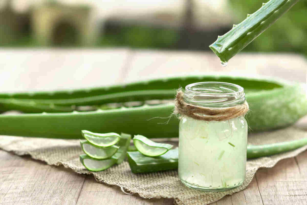 foglie di aloe e contenitore con gel