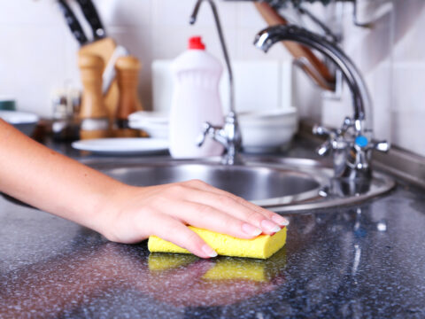 Spugnette da cucina, paradiso per i batteri