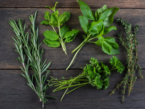 Come conservare le tue piante aromatiche per l'inverno