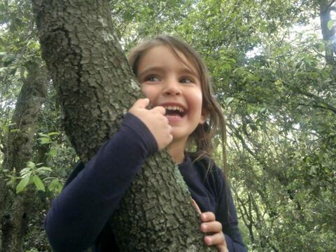 L'asilo nel bosco, educare i bambini alla libertà