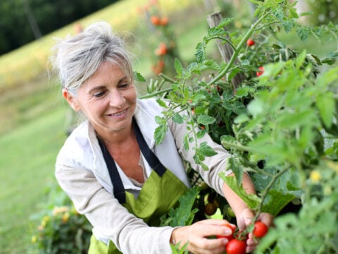 Come rallentare l'invecchiamento in cucina