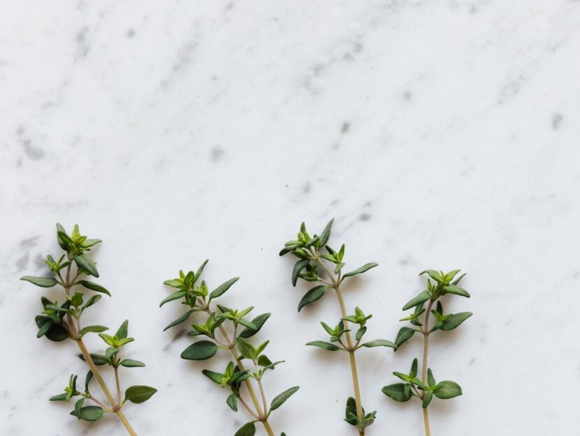 Le erbe aromatiche sono degli ingredienti sempre presenti nelle cucine italiane. Queste riescono ad insaporire ulteriormente i piatti, conferendo loro un sapore particolare ed un profumo inconfondibile.