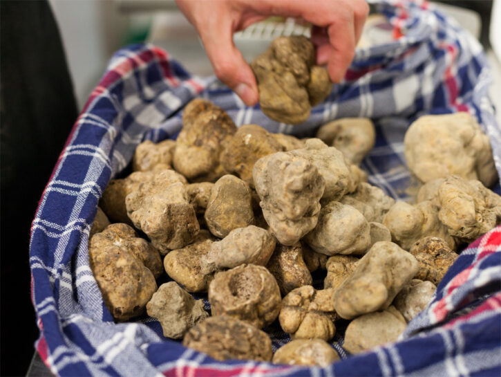 Mai lavare il tartufo